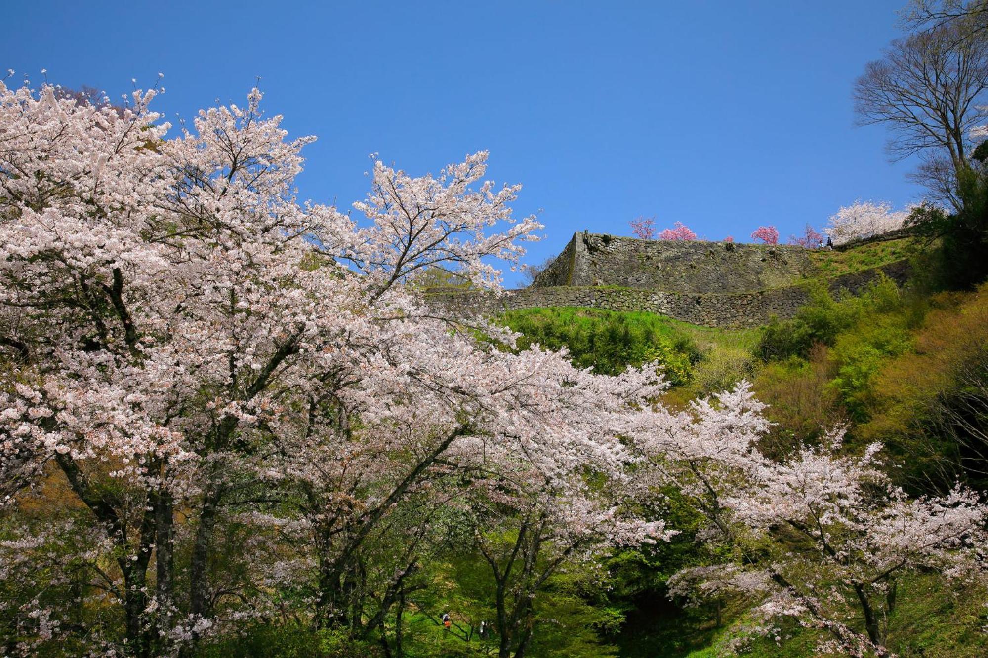 Kur Park Nagayu Otel Nitta Dış mekan fotoğraf